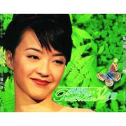 陈慧娴 32首选 (2CD SET)