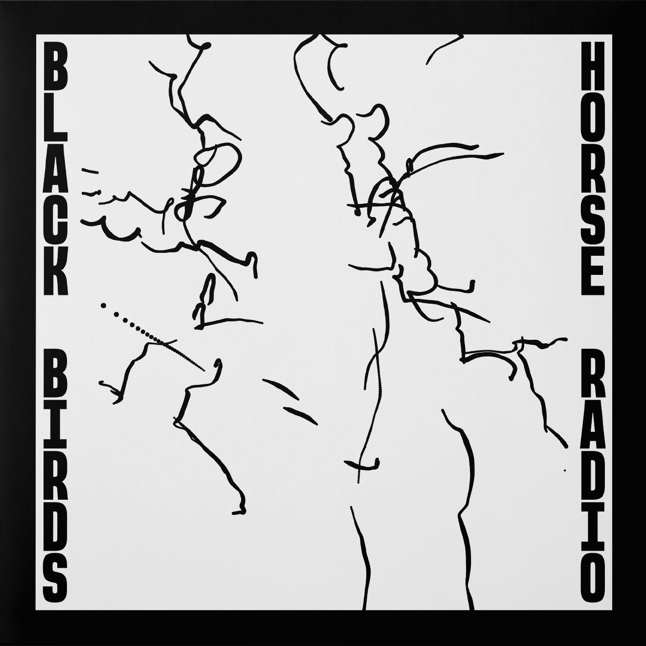 BlackBirds 2