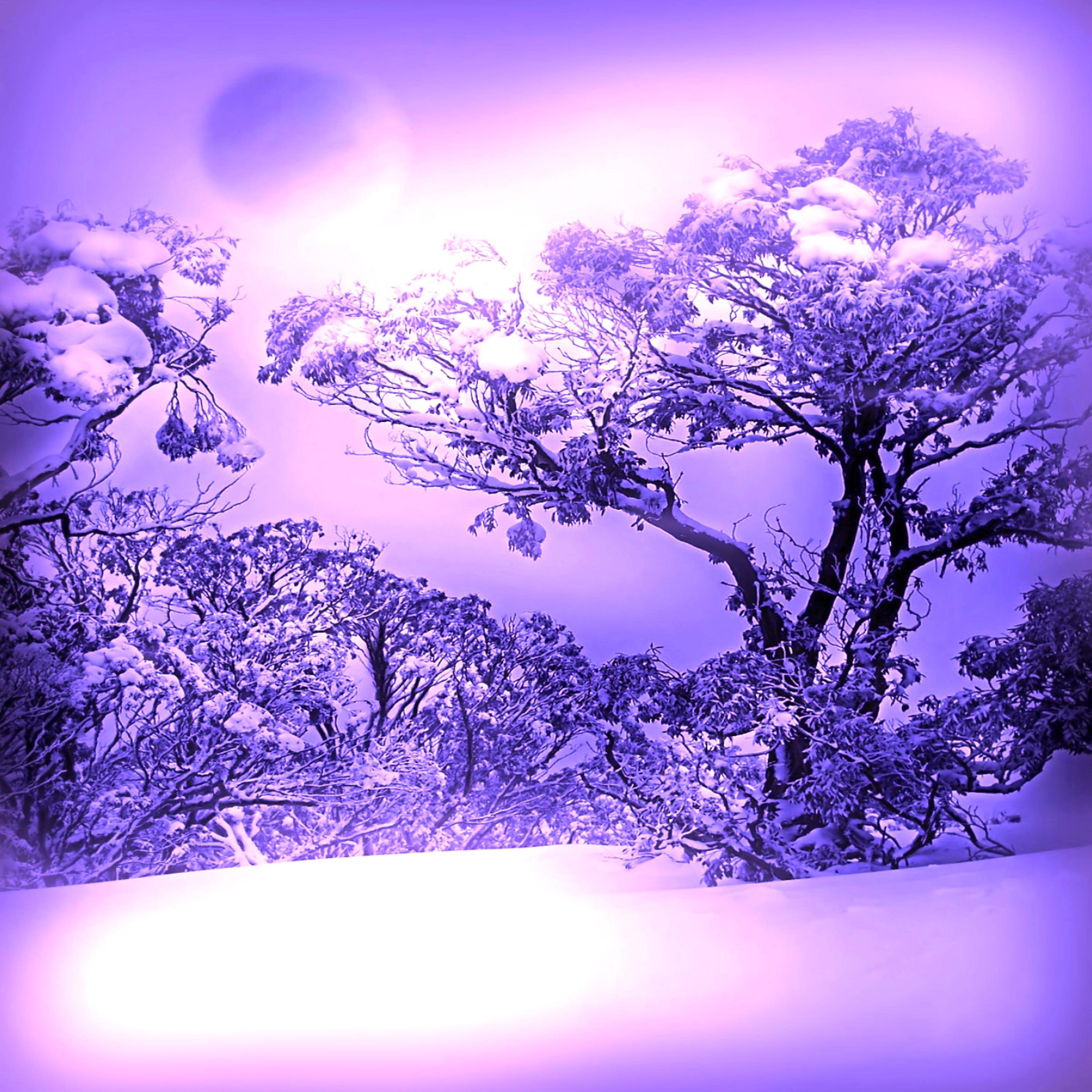 IceFall Glade