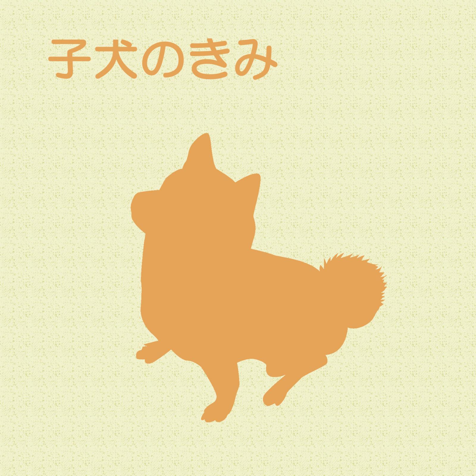 子犬のきみ