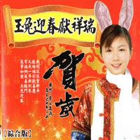 贺世哲 - 玉兔送吉祥 (伴奏)(DJ默涵版)