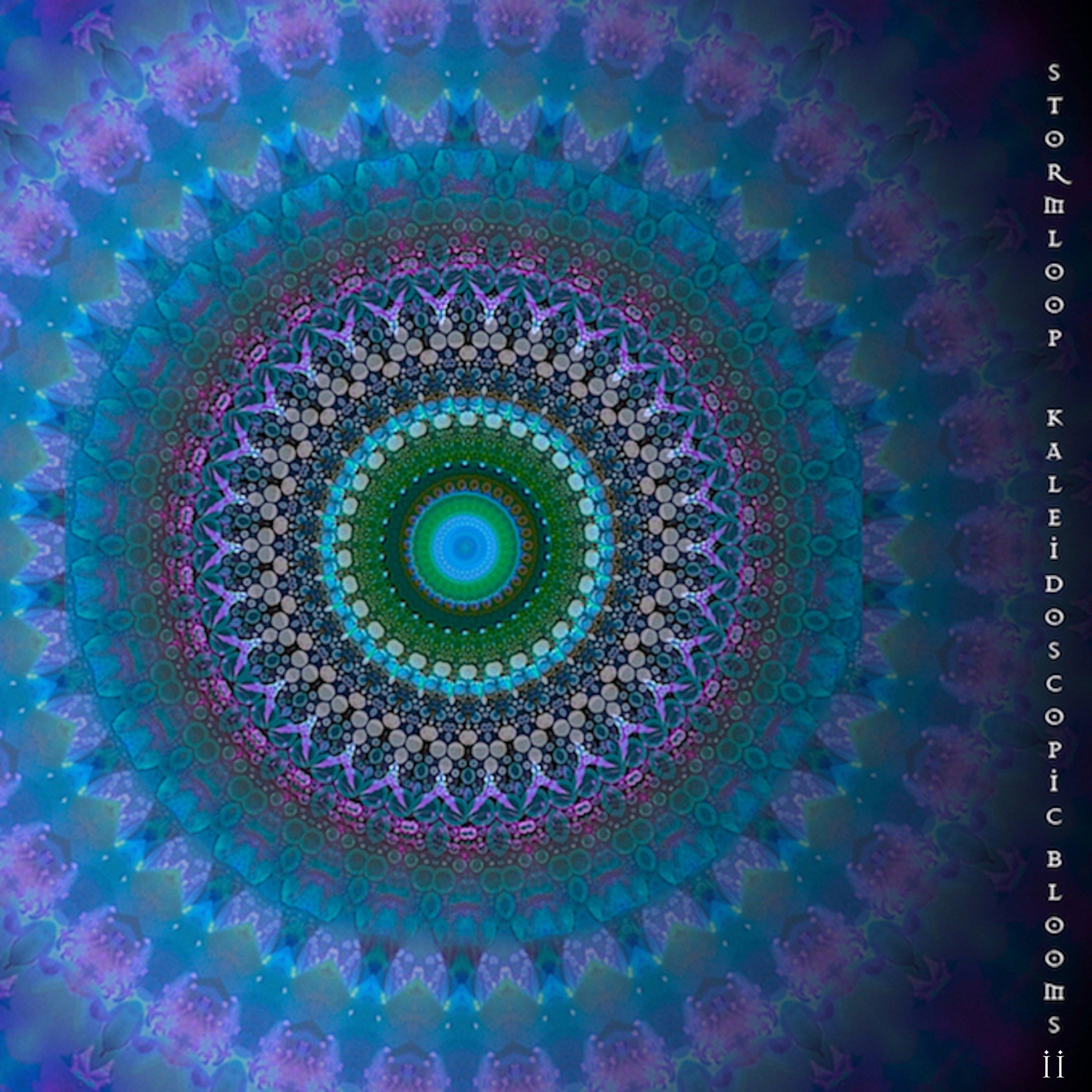 Kaleidoscopic Blooms II
