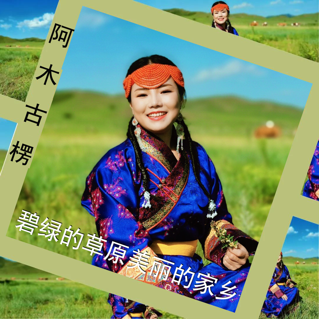 最速阿木古楞鸿雁