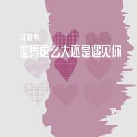 世界那么大还是遇见你 (原版立体声)