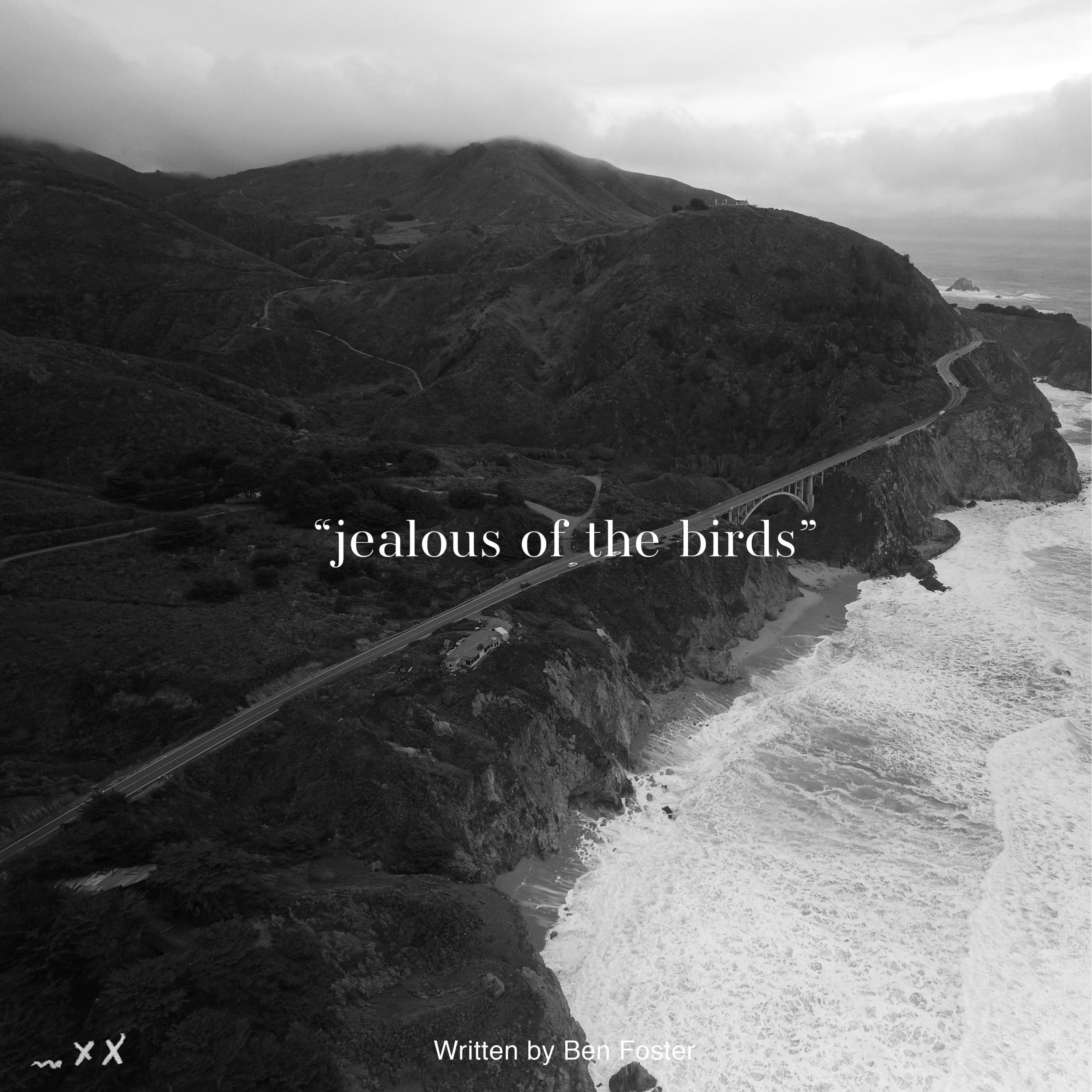 Jealous of the Birds