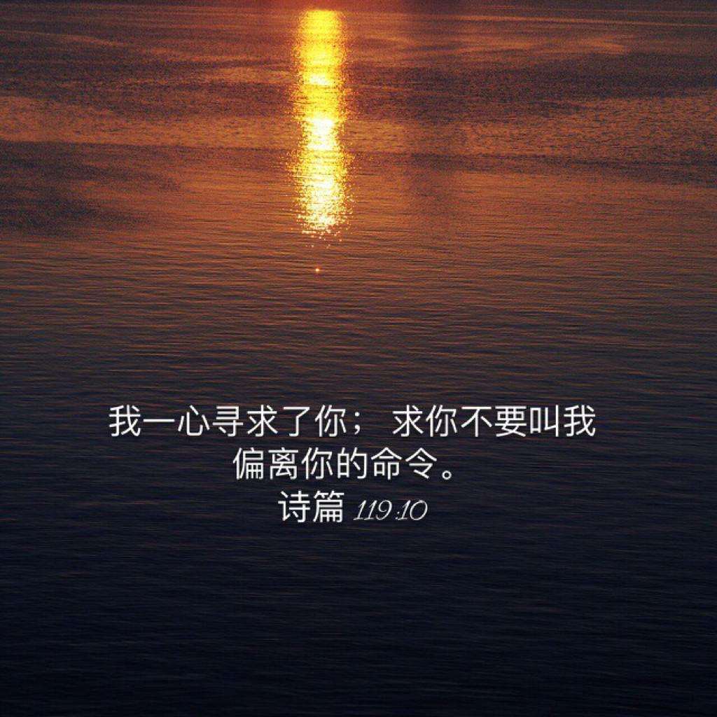 赞美，称谢，独一的你