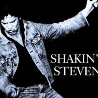 Shakin\' Stevens - Shakin\' Stevens Mix (karaoke Version)