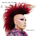 Evolution: The Hits [Limited Edition]专辑