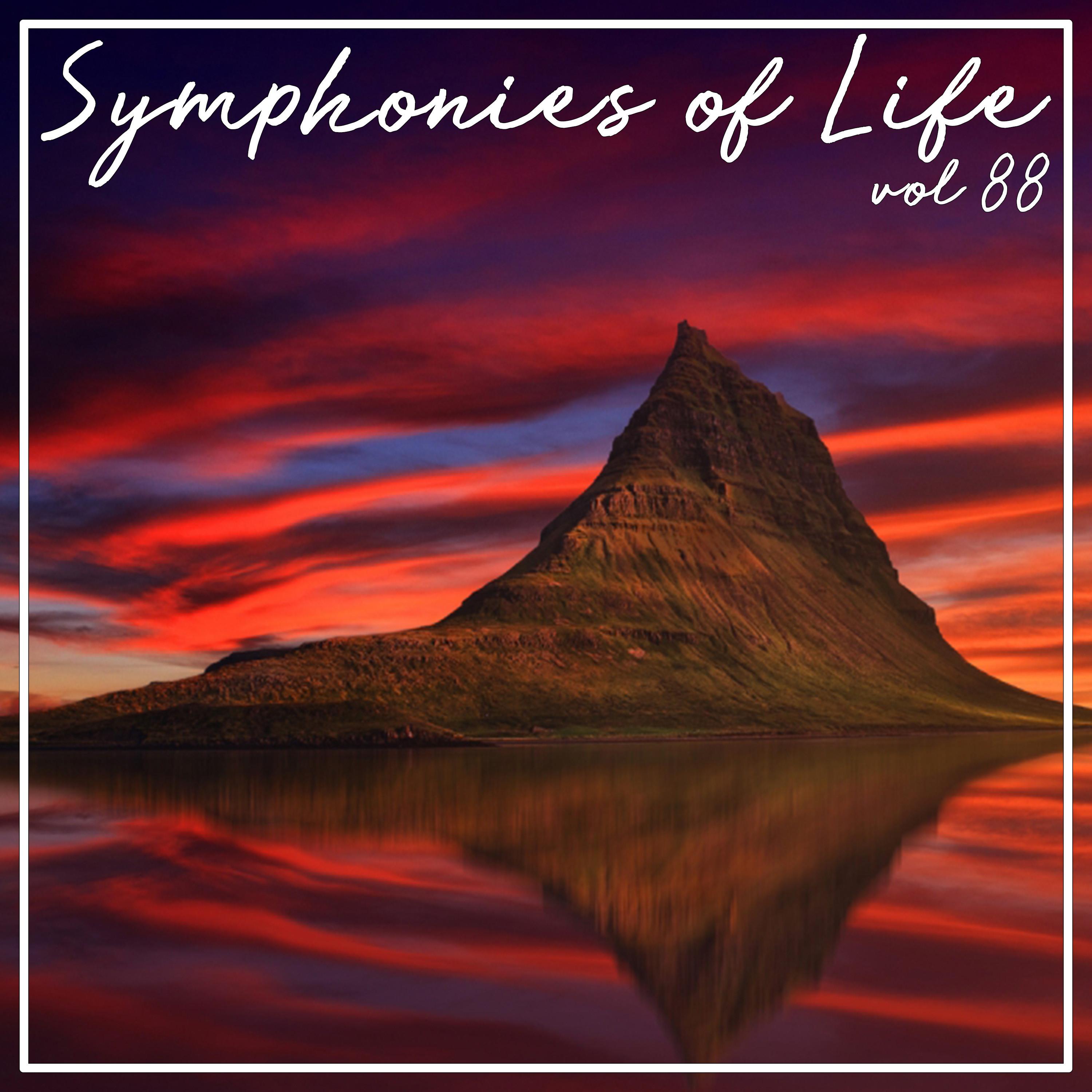 Symphonies of Life, Vol. 88 - Shostakovich, Schnittke: Rayok, Chamber Symphony op. 110, Prelude & Scherzo
