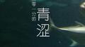 六点零一分的青涩专辑