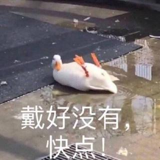 【Suck my Lollipop】都说了是小清新了！