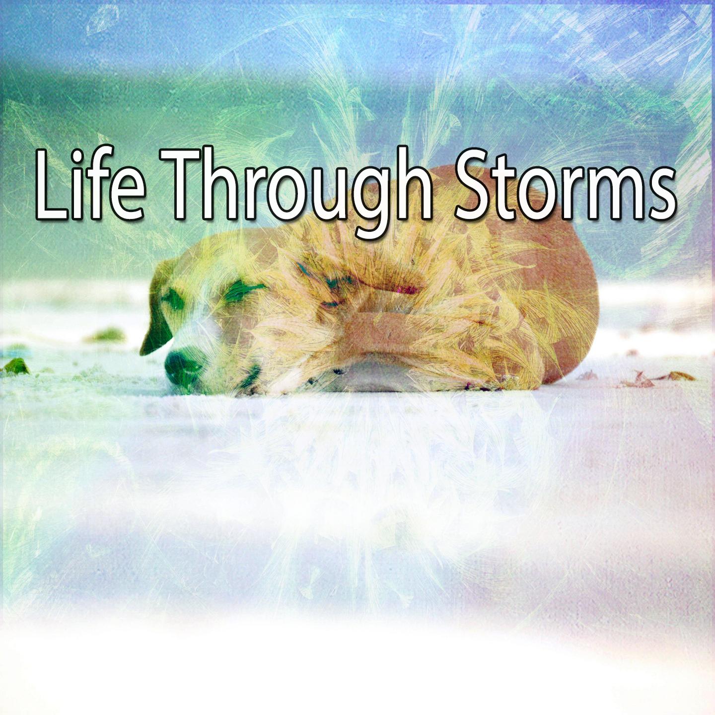 Life Through Storms专辑