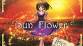 Sun Flower专辑