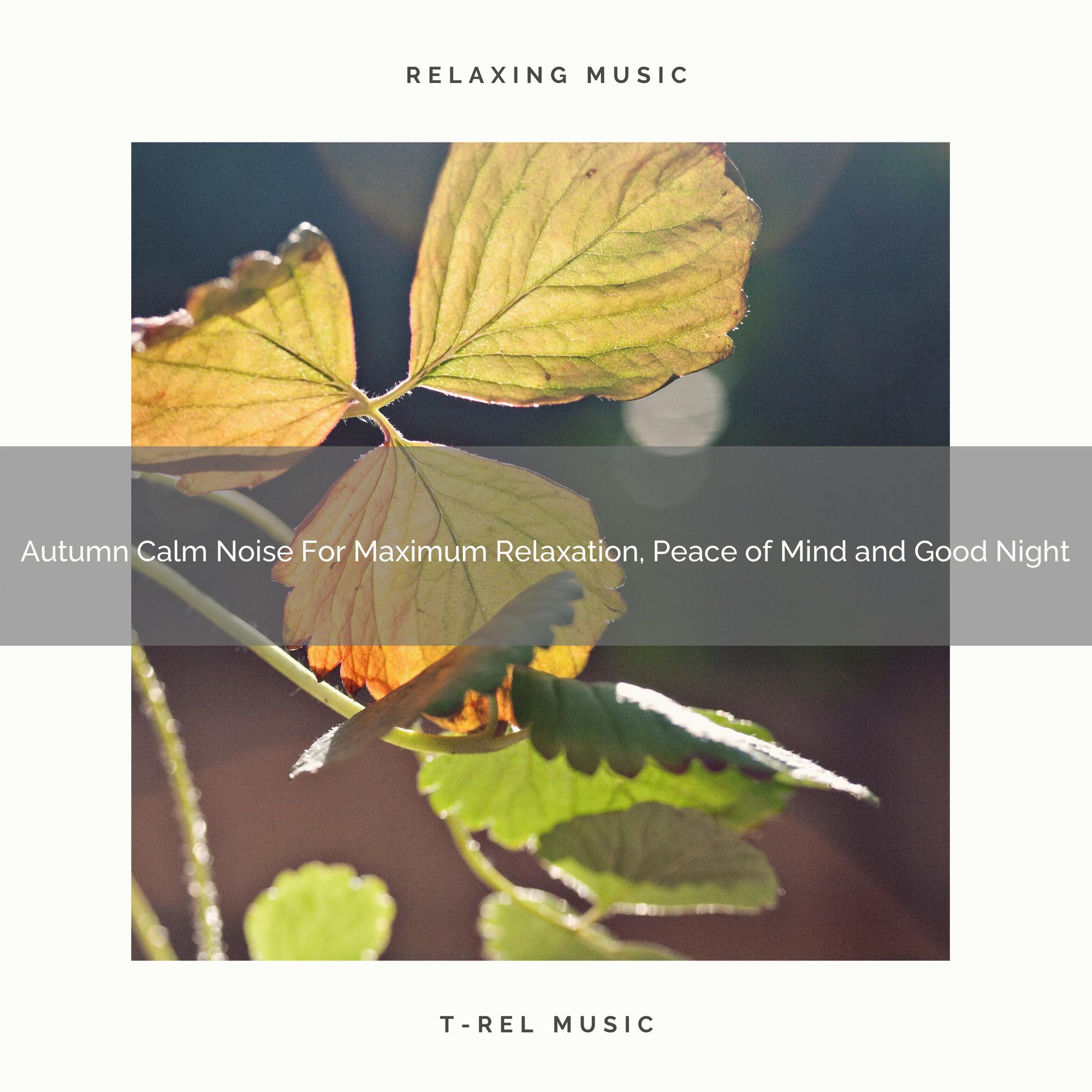 Autumn Calm Noise For Maximum Relaxation, Peace of Mind and Good Night