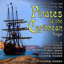 Music From and Inspired By The Pirates of the Caribbean Saga专辑