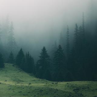  『空灵雾境』坠入清冷梦境的寂静序章