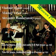 Moscow Trio: Schubert & Brahms