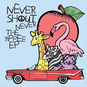 Never Shout Never - Trouble (Karaoke Version) 带和声伴奏 （降7半音）