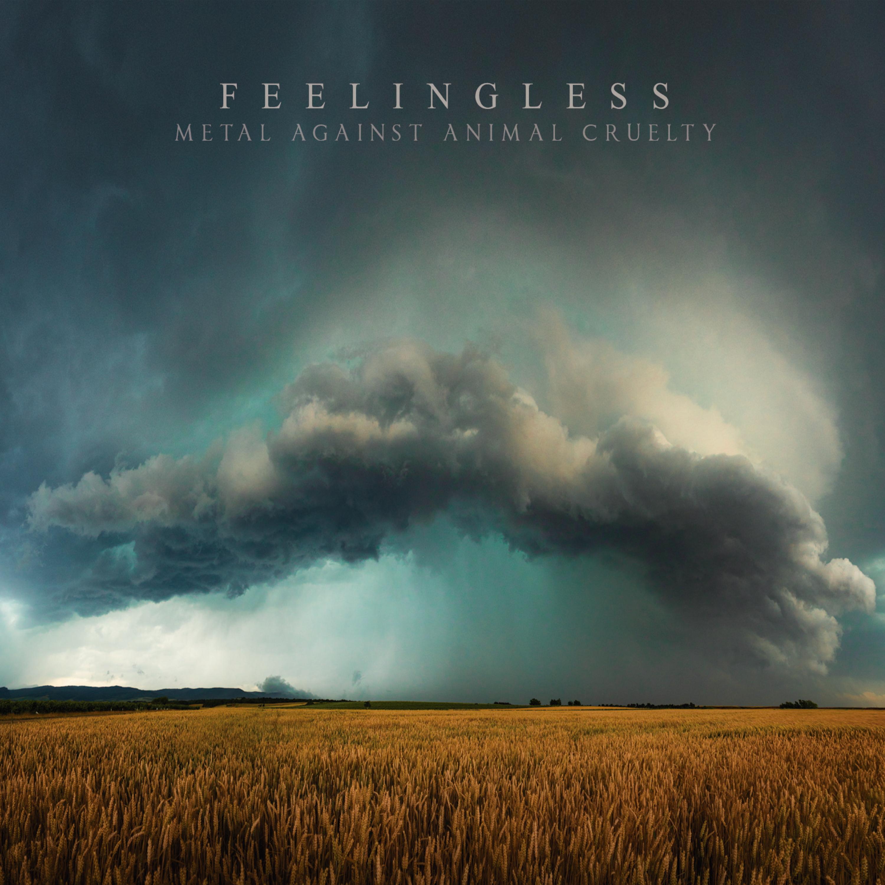 Feelingless - Peace