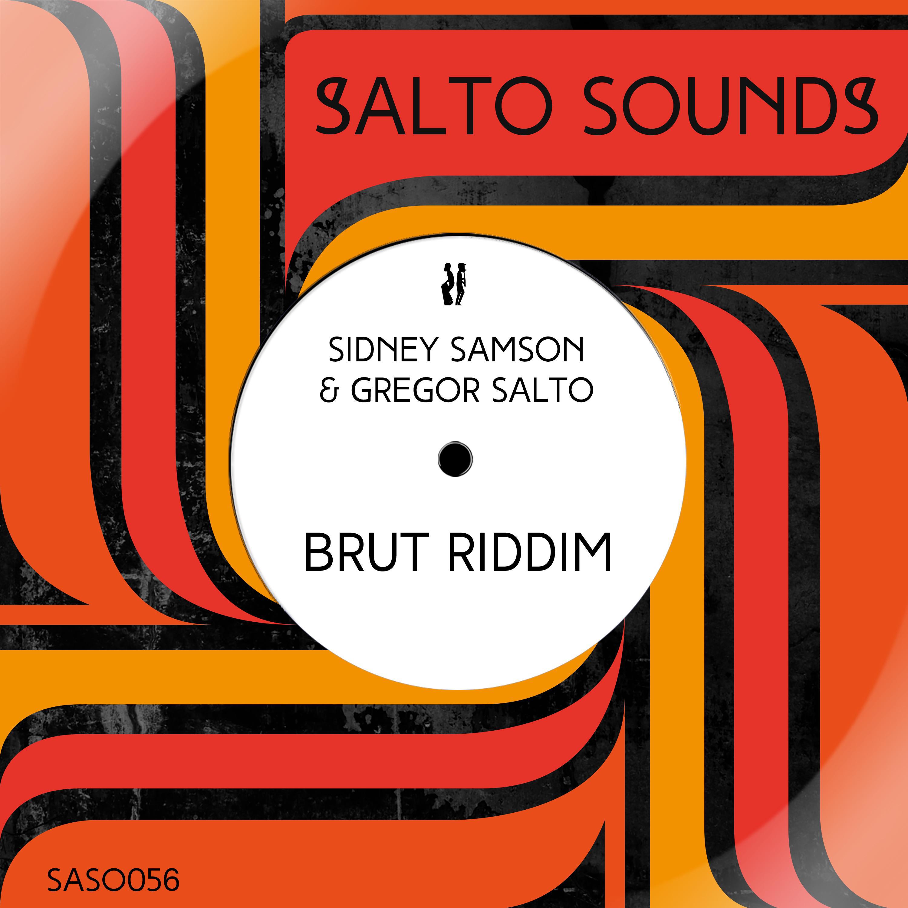 Sidney Samson - Brut Riddim (100 bpm)