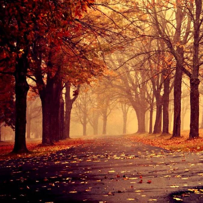 Embrace (Chilled Mix)