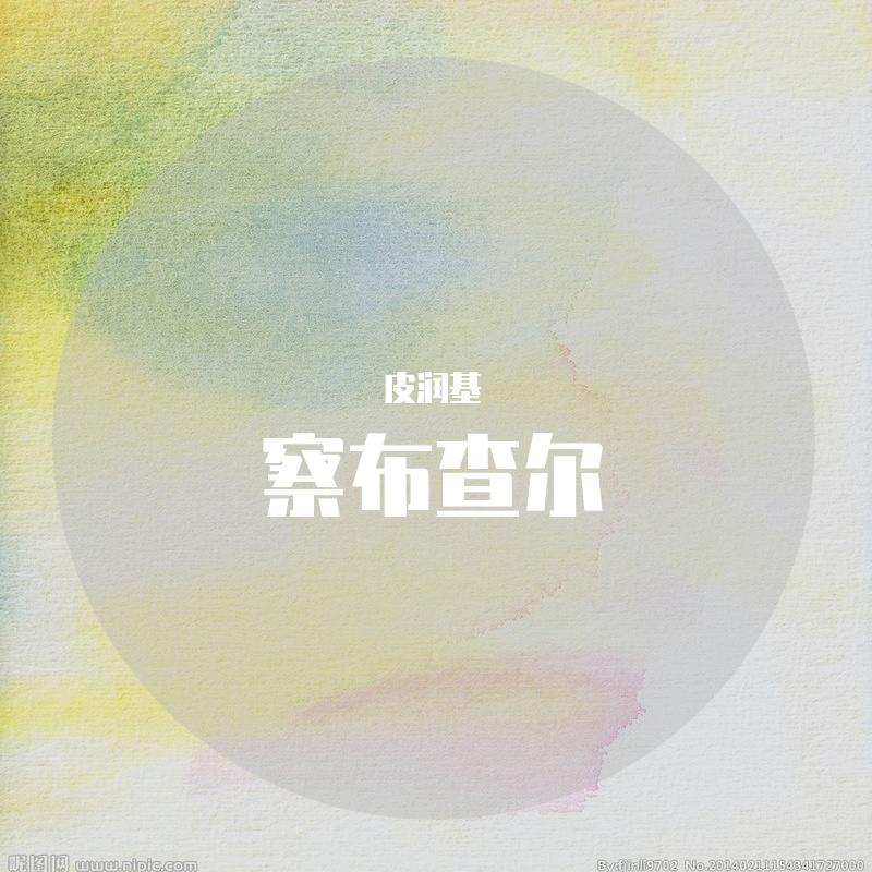 察布查尔DEMO