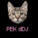 PEK dDJ