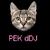 PEK dDJ