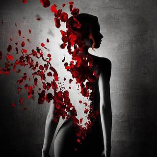 vioal=不爱请远离她~香水有毒的~