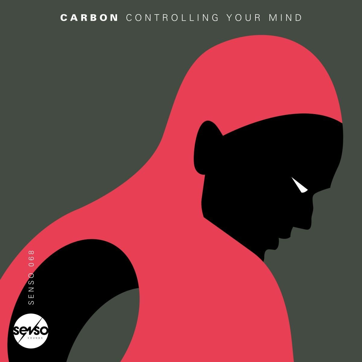 CONTROLLING YOUR MIND