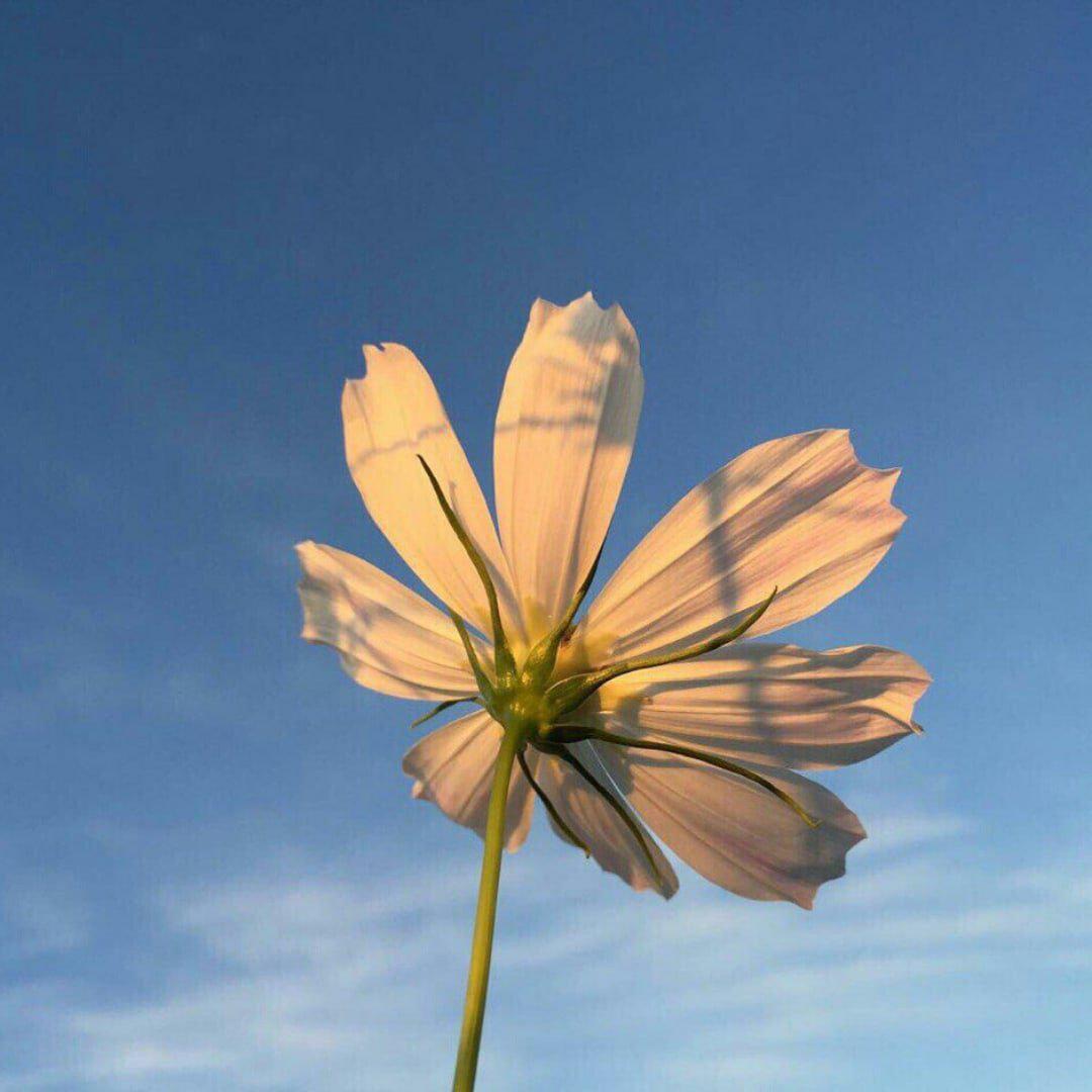 Ellie Goulding-Love Me Like You Do（VaSka / 妄遇Music remix）