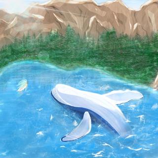 治愈系纯音 | 沐浴在阳光之下，与鲸共舞