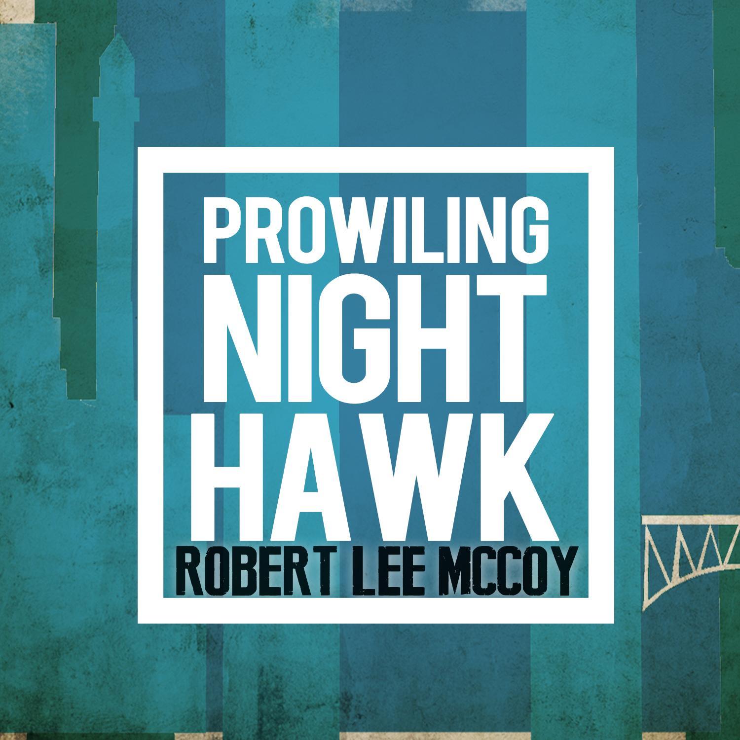 Prowling Nighthawk