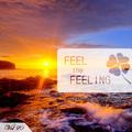 Feel The Feeling Vol.20