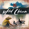 Wild China专辑