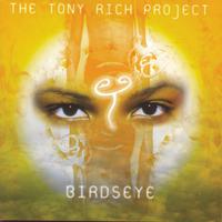 The Tony Rich Project-Nobody Knows 伴奏 无人声 伴奏 更新AI版