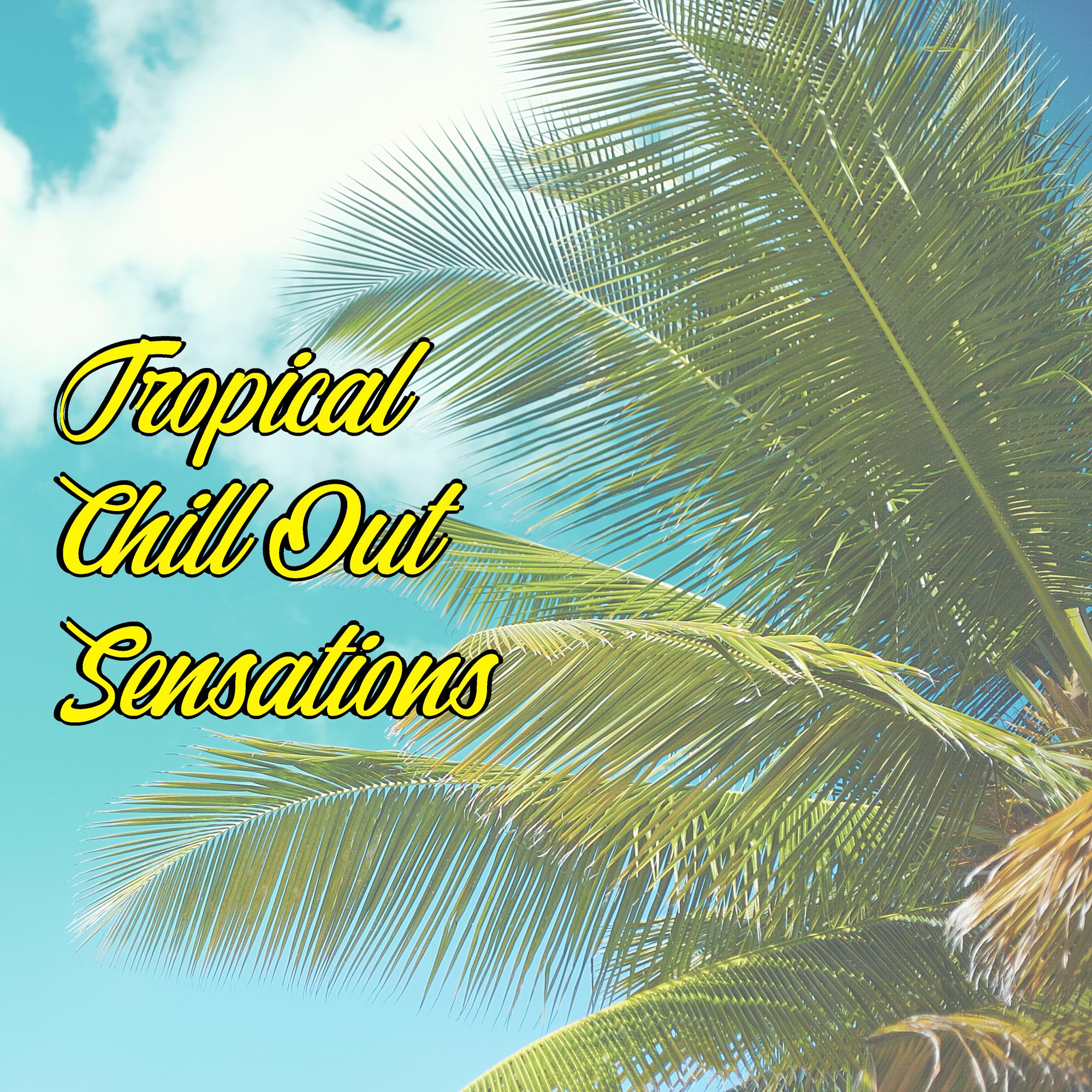 Tropical Chill Out Sensations: Compilation of Best 2020 Music for Total Relaxation, Summer Hits, Sunny Atmosphere, Deep Relaxing Beats, Holiday Vibes, Beach Music, Lounge Chill