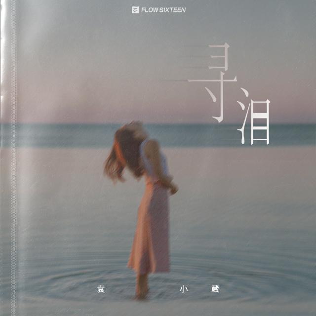 寻泪