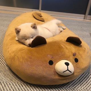 网易云热歌合集（持续更新中…）