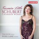 SCHUBERT, F.: Chamber Works - Violin Sonatas, D. 384, 385, 408, 574 / Rondo brillant / Notturno (Lit