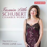 SCHUBERT, F.: Chamber Works - Violin Sonatas, D. 384, 385, 408, 574 / Rondo brillant / Notturno (Lit