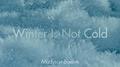 Winter Is Not Cold专辑
