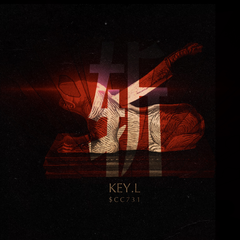 KEY.L刘聪,c0de731《斩吉他谱》D调_音符轻盈流畅