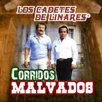 Hijo Malvado - Cadetes De Linares (karaoke)