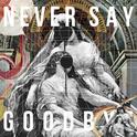 NEVER SAY GOODBYE专辑