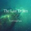 The Last Dream(Original mix)