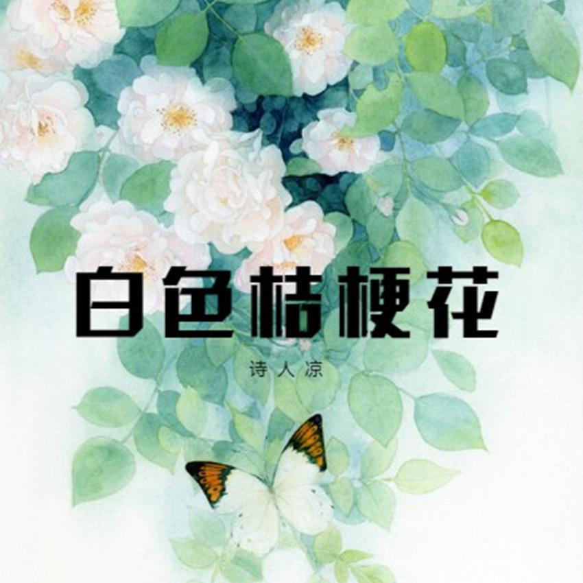 白色桔梗花(翻自 诗人凉)