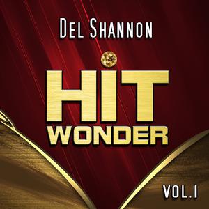 The Answer to Everything - Del Shannon (Karaoke Version) 带和声伴奏 （升1半音）