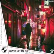 Never Let Me Go（vocal mix）