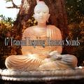 47 Tranquil Inspiring Harmony Sounds